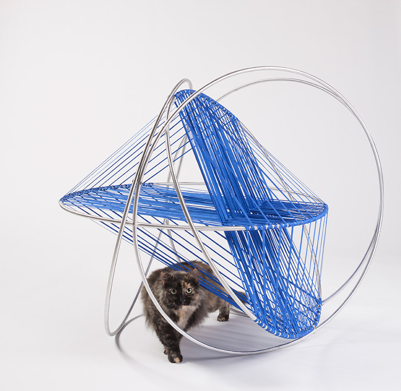 architects for animals cat shelters fixnation designboom
