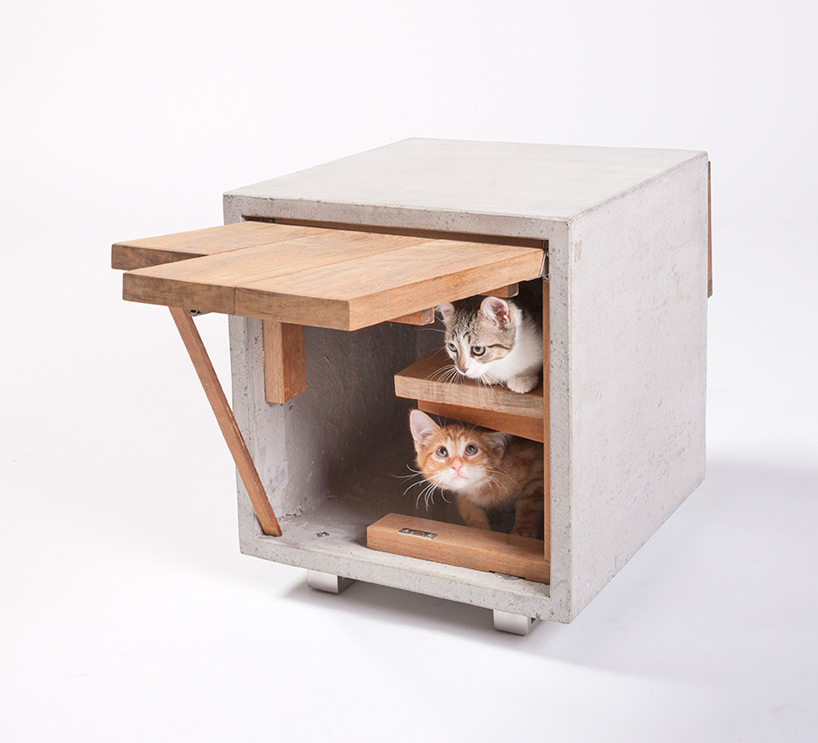 architects for animals cat shelters fixnation designboom