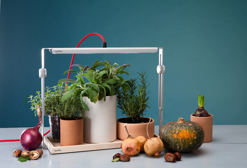 bulbo light urban gardening designboom