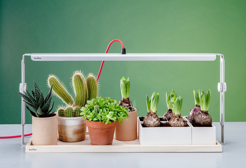 bulbo light urban gardening designboom