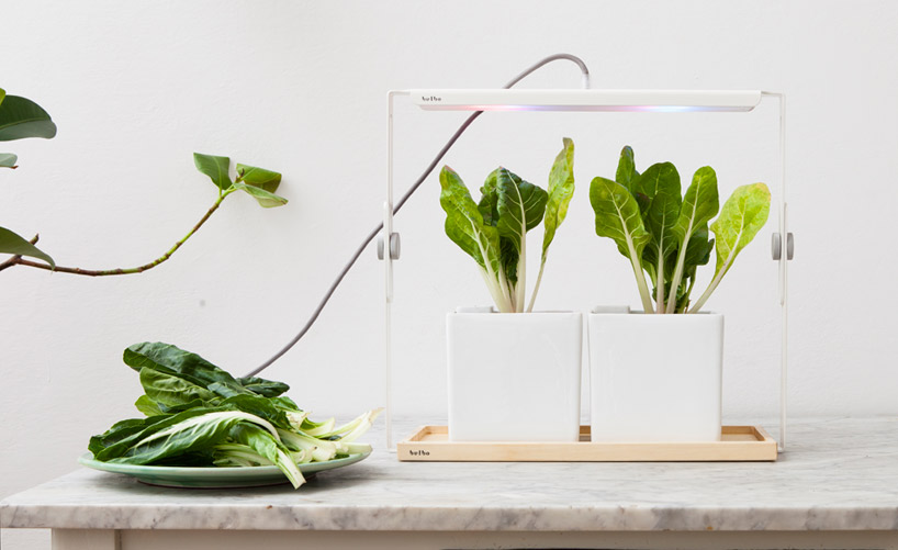 bulbo light urban gardening designboom