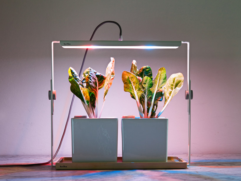bulbo light urban gardening designboom