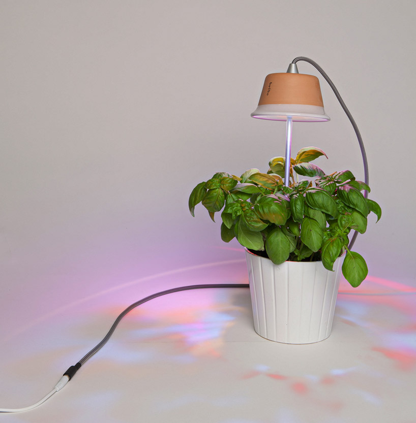 bulbo light urban gardening designboom