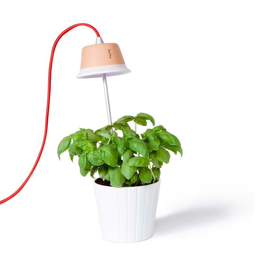 bulbo light urban gardening designboom