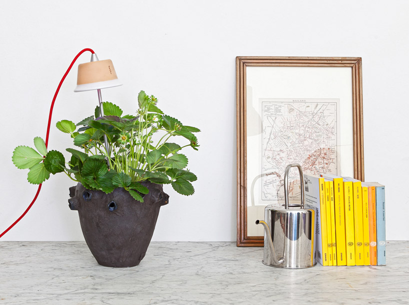 bulbo light urban gardening designboom