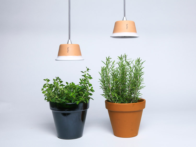 bulbo light urban gardening designboom