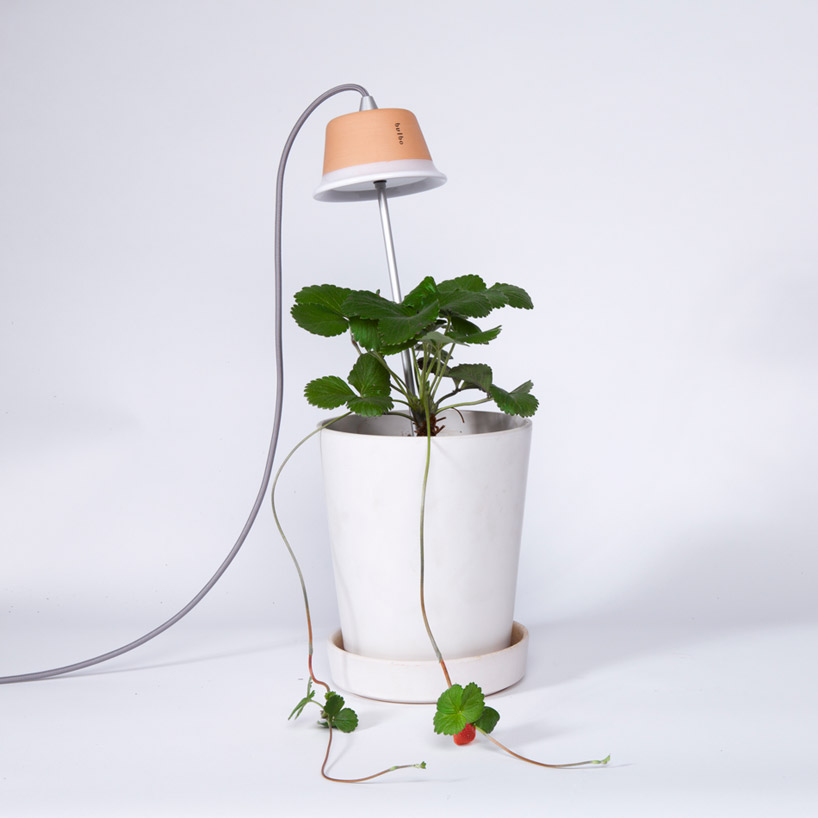bulbo light urban gardening designboom