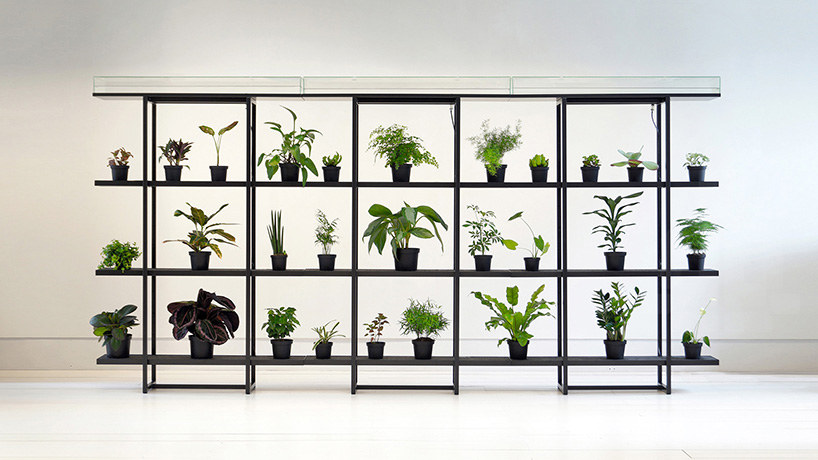 pikaplant: a shelf that automatically waters your plants