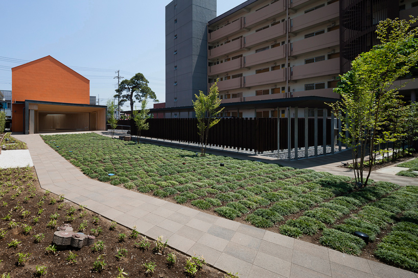 taku sakaushi OFDA associates orange pine gallery designboom