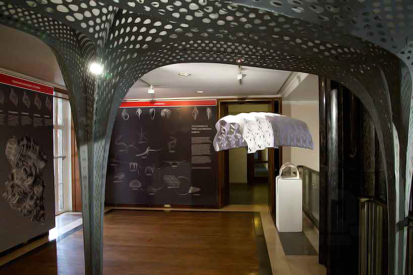 tonkin liu arup shell lace structure nature