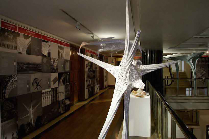 tonkin liu arup shell lace structure nature