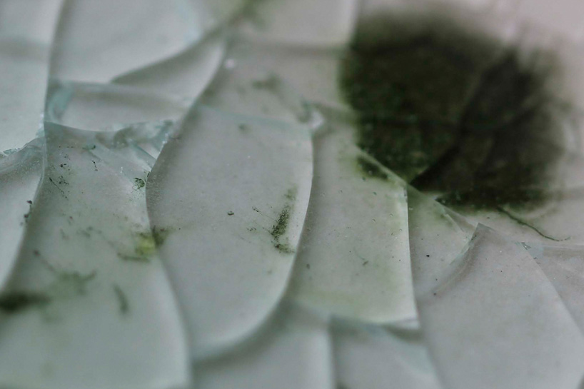 erez nevi pana salt recrystallizing the desert design academy eindhoven dutch design week 2014