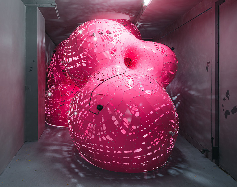 jana winderen marc fornes theverymany storefront nyc