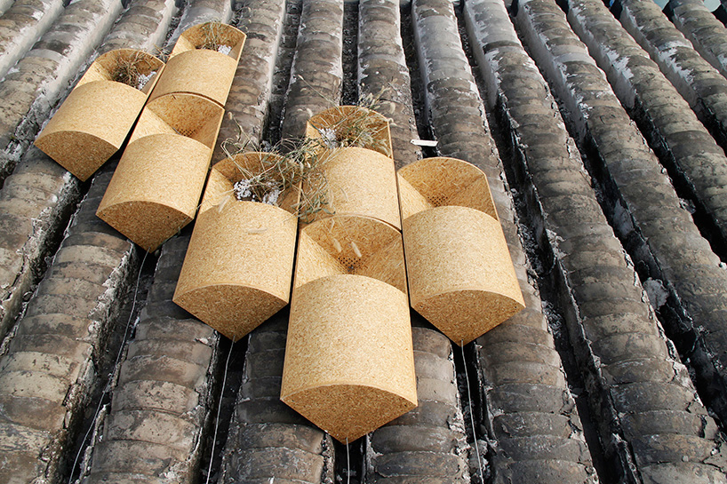 maoer-hutong_odd_designboom03