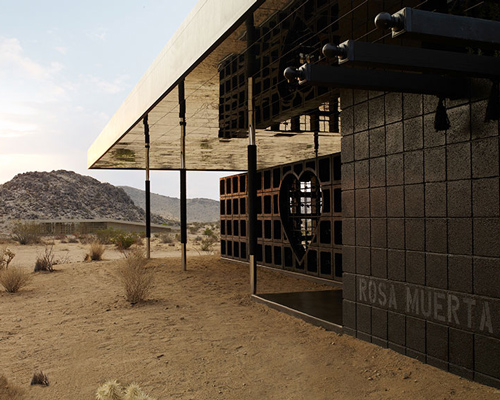 rosa muerta by robert stone comes to life in california