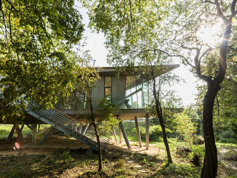 wilkinson eyre maggie's centre oxford designboom