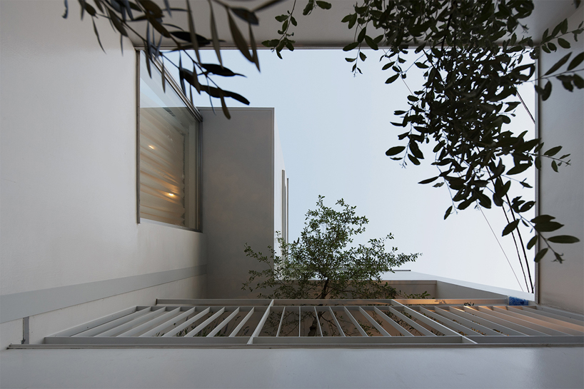 KINO architects shiro building tokyo japan designboom