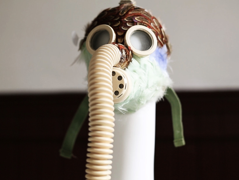 birdy feather military accessories designboom