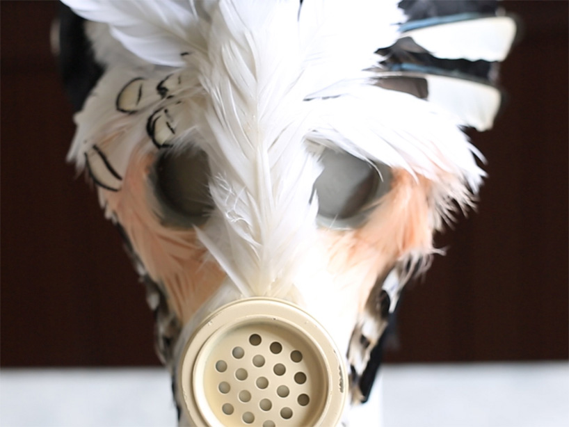 birdy feather military accessories designboom