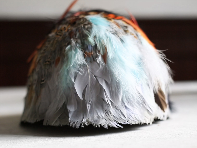 birdy feather military accessories designboom