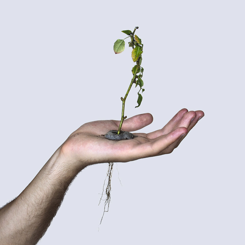 david cata plants in the palm of his hand