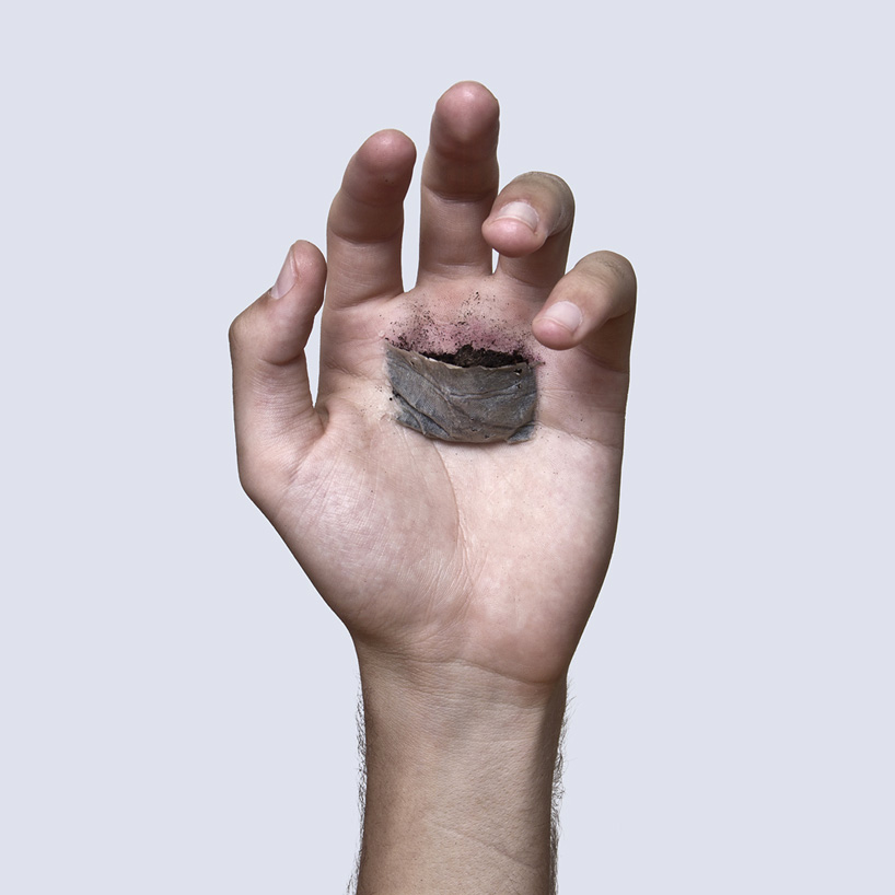 david cata plants in the palm of his hand