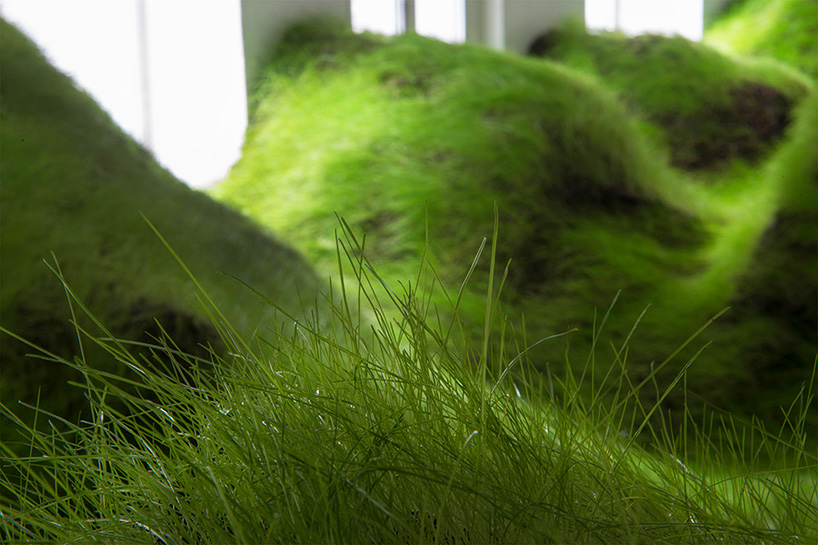 per kristian nygård grows grassy lawn within olso gallery