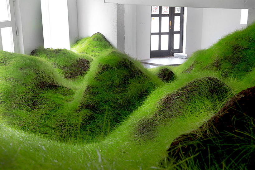 per kristian nygård grows grassy lawn within olso gallery
