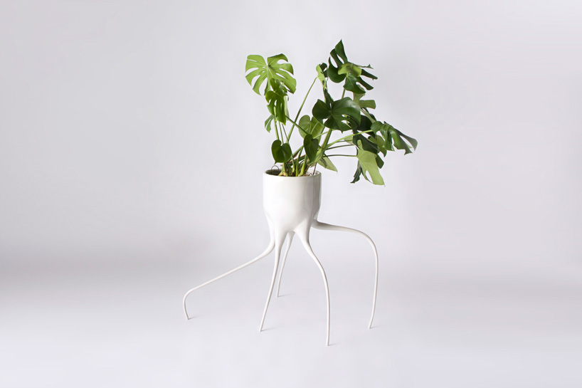 tim van de weerd monstera plant pots dutch design week 2014