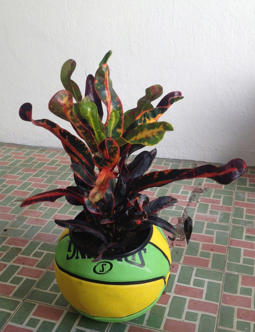 radames_juni_figueroa_ball