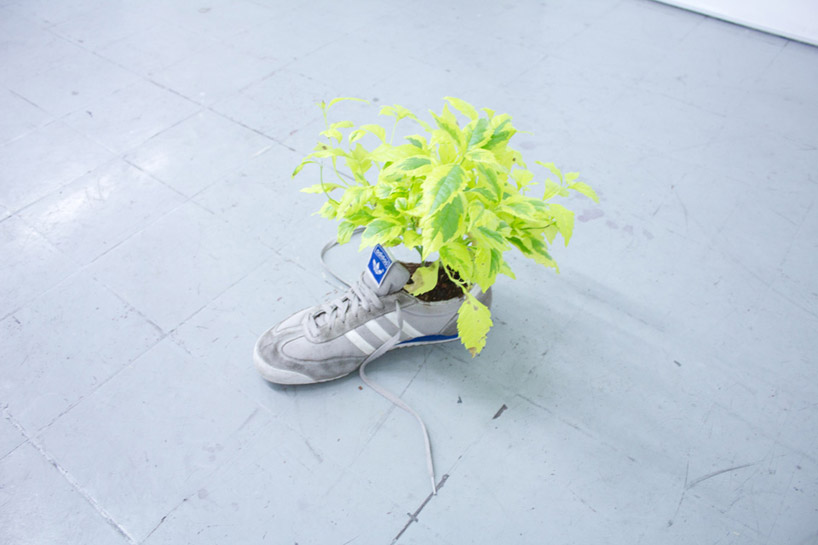 radames_juni_figueroa_sneaker