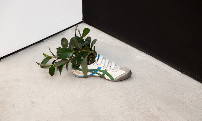 radames_juni_figueroa_tropical_readymade