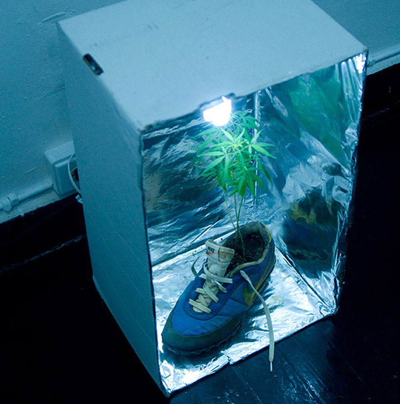 radames_juni_figueroa_tropical_readymade_marihuana_sculpture