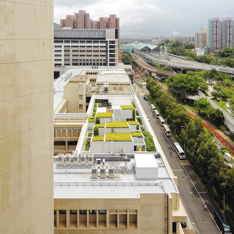 ronald lu green roofs sk yee healthy life center