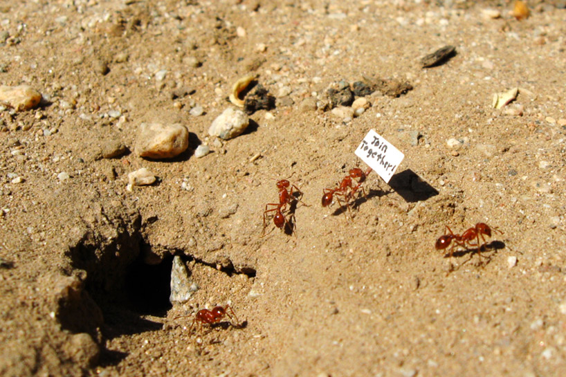 top 10 reader submissions 2014 art