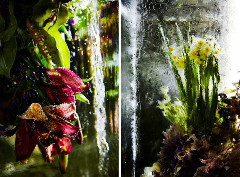 azuma-makoto-iced-flowers-designboom09