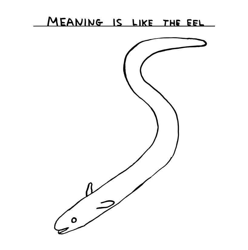 davidshrigley_interview_02