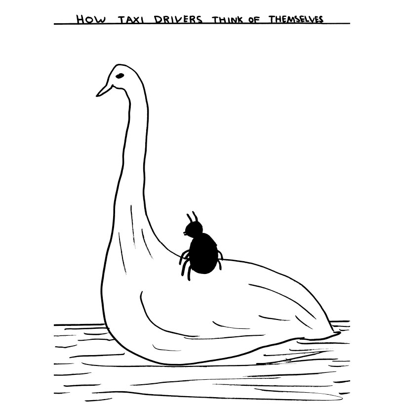 davidshrigley_interview_04