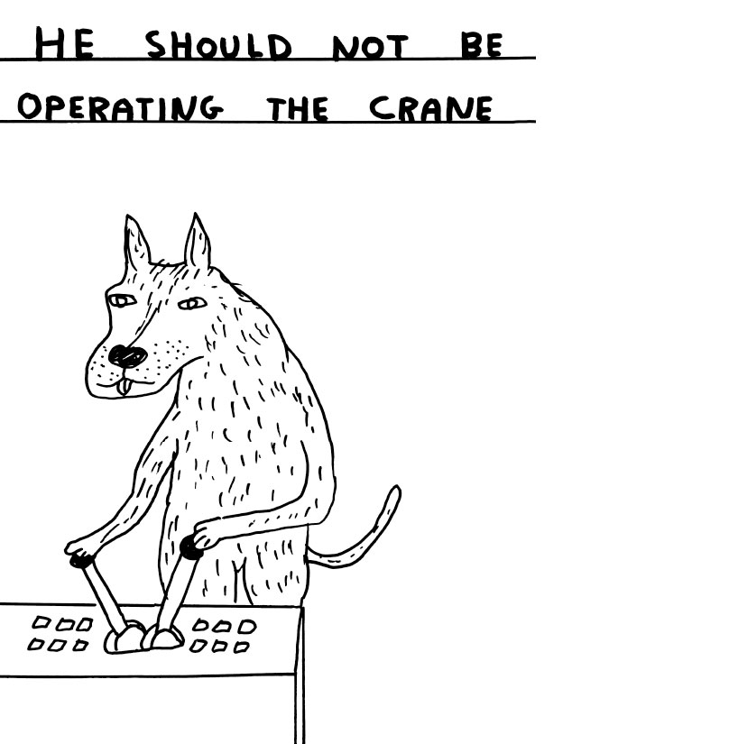 davidshrigley_interview_06