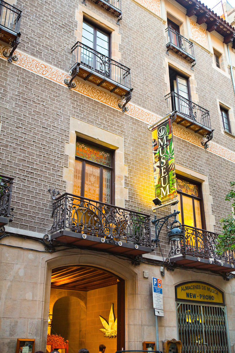 hash marihuana hemp canamo museum modernisme palace cannabis museum barcelona designboom