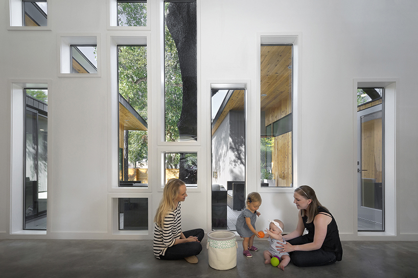 matt fajkus architecture tree house austin texas designboom