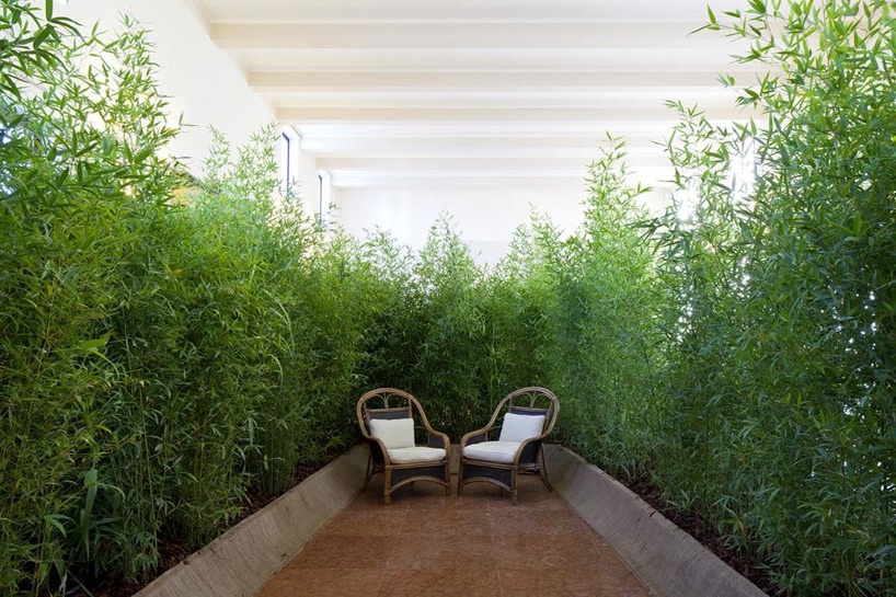 africa is now design indaba designboom 