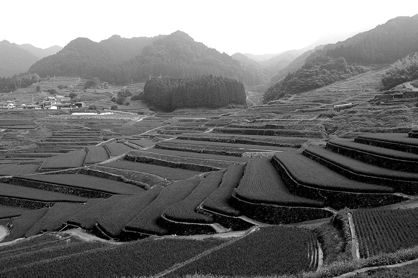 kei harada rice bowls exhibition hasami japan designboom