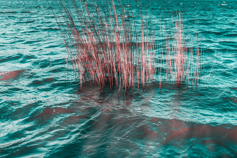 paolo pettigiani-infared-landscapes-designboom-01