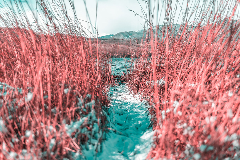 paolo-pettigiani-infared-landscapes-designboom-02