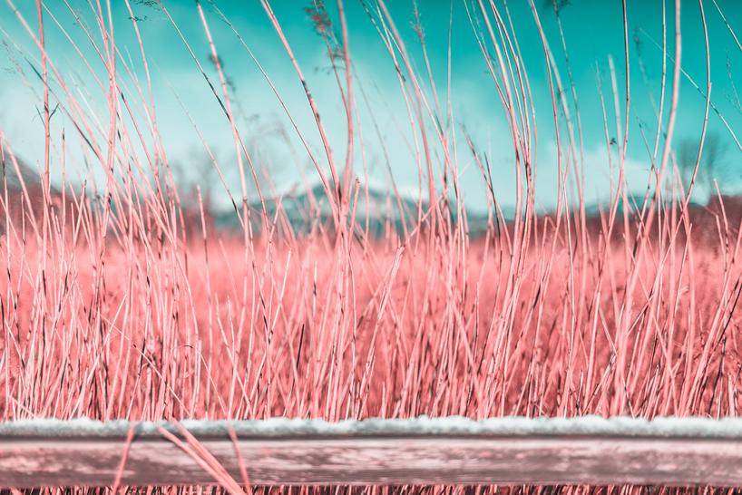 paolo pettigiani-infared-landscapes-designboom-03