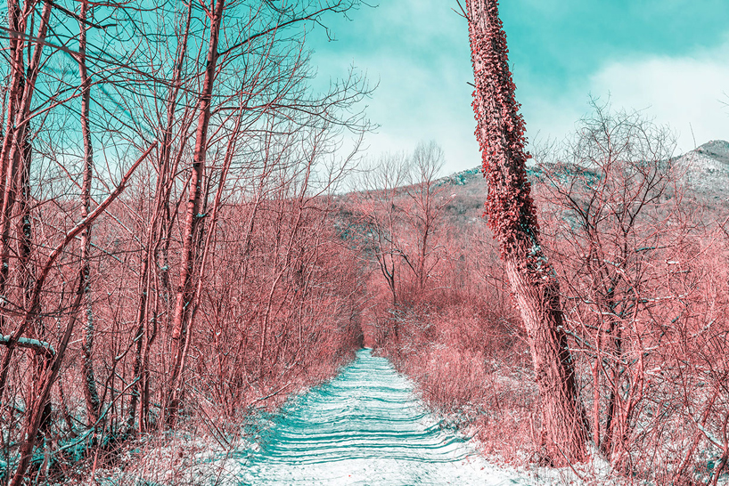 paolo-pettigiani-infared-landscapes-designboom-07