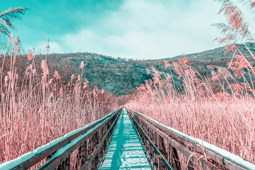 paolo-pettigiani-infared-landscapes-designboom-10