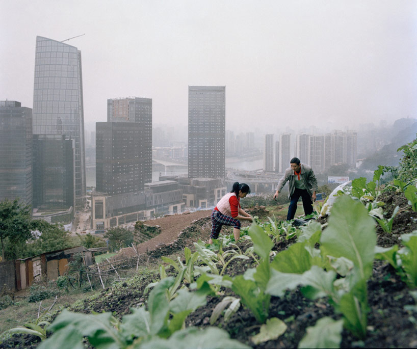 china paves the way for a new definition of urban farming - 2