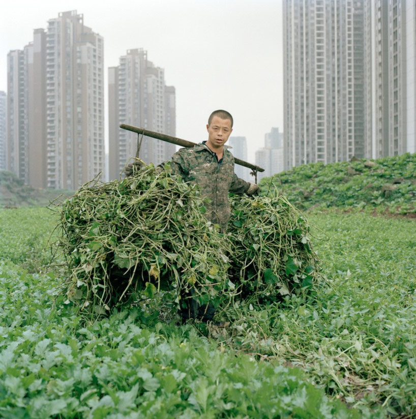 china paves the way for a new definition of urban farming - 3